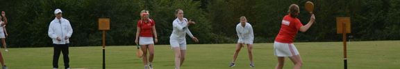 Organise Stoolball England organise-stoolball-england